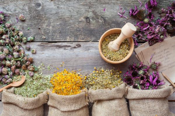Propiedades del saúco - Bactericida y antiinflamatorio