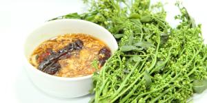 Aceite de Neem: propiedades medicinales y cosméticas