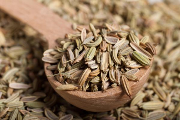 Dispepsia funcional: tratamiento natural - Semillas de hinojo y cilantro, remedio natural para la indigestión