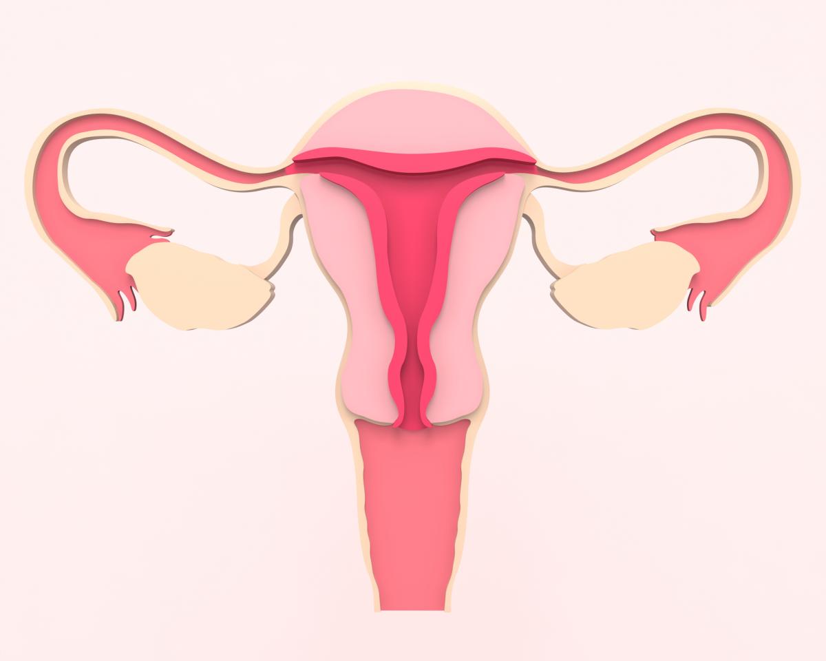 Diferencias entre papilomatosis vulvar y VPH