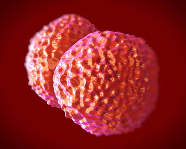 Contractura cervical: causas y tratamiento - Meningitis