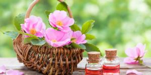 Aceite de rosa mosqueta para la cara: propiedades y cómo usarlo
