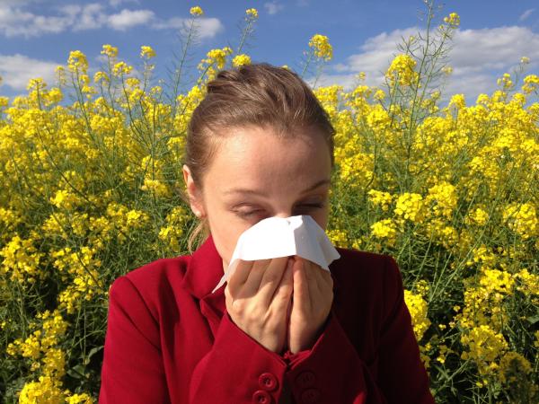 Remedios caseros para la alergia nasal