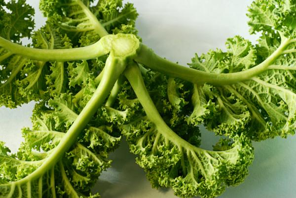 Alimentos ricos en vitamina A - lista completa - Vegetales de hojas verdes