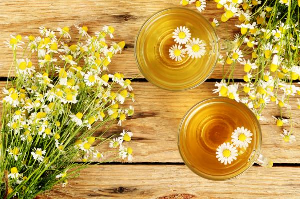 Tés para desinflamar el estómago - 2. Manzanilla (anthemis nobilis)