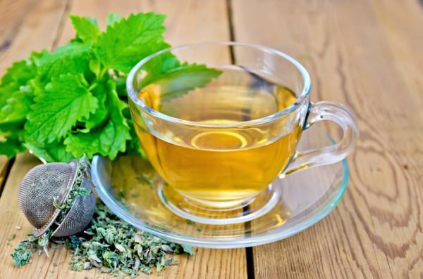 Tés para desinflamar el estómago - 7. Té de melisa o toronjil (melissa officinalis)
