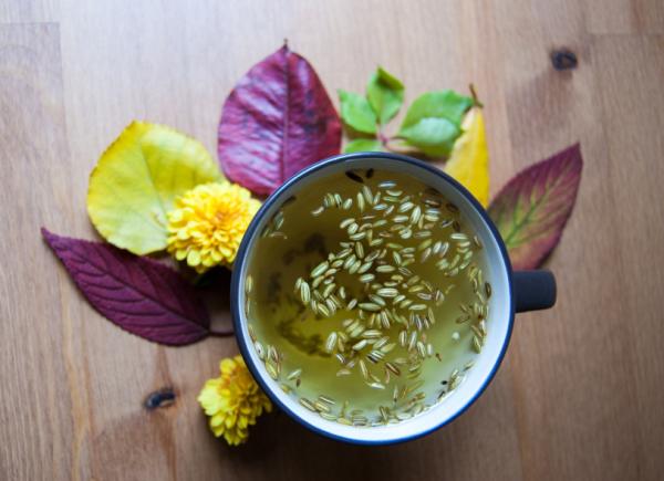 Remedios caseros para los mocos - Infusión de hinojo