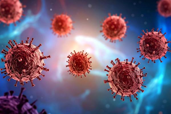 Virus Nipah: síntomas y cómo se transmite - Medidas de prevención contra el virus Nipah