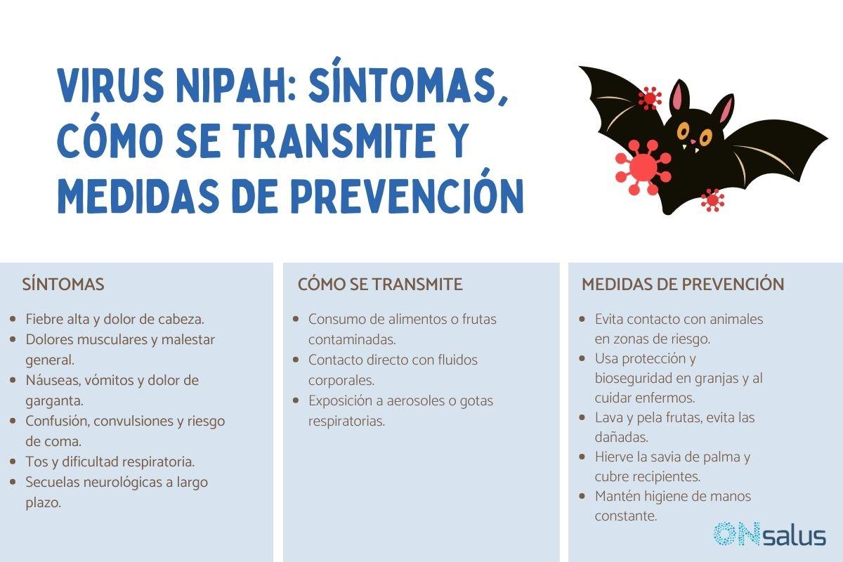 Virus Nipah: síntomas y cómo se transmite