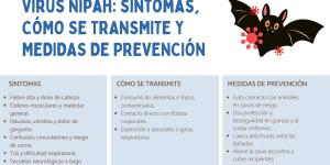 Virus Nipah: síntomas y cómo se transmite