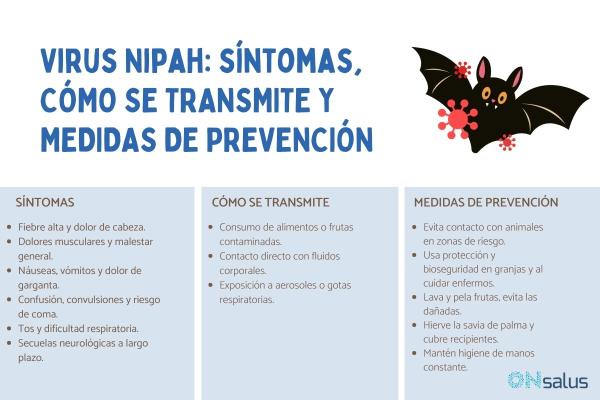 Virus Nipah: síntomas y cómo se transmite
