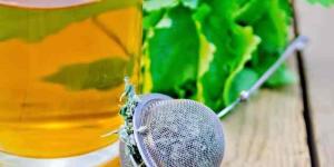 Beneficios del toronjil para la salud