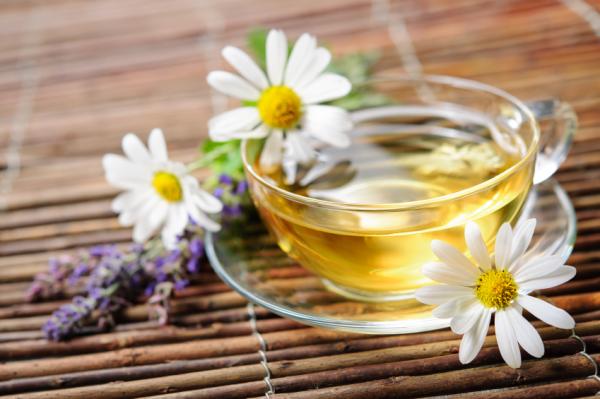 Plantas medicinales para dormir - Manzanilla