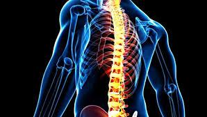 Mielitis transversa: síntomas, tratamiento, secuelas