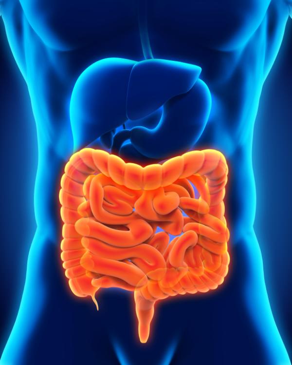 Semillas de lino: propiedades y beneficios - Para enfermedades digestivas