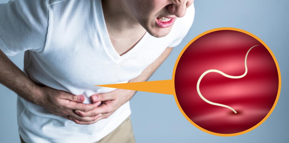 Parásitos intestinales en adultos: síntomas y tratamiento