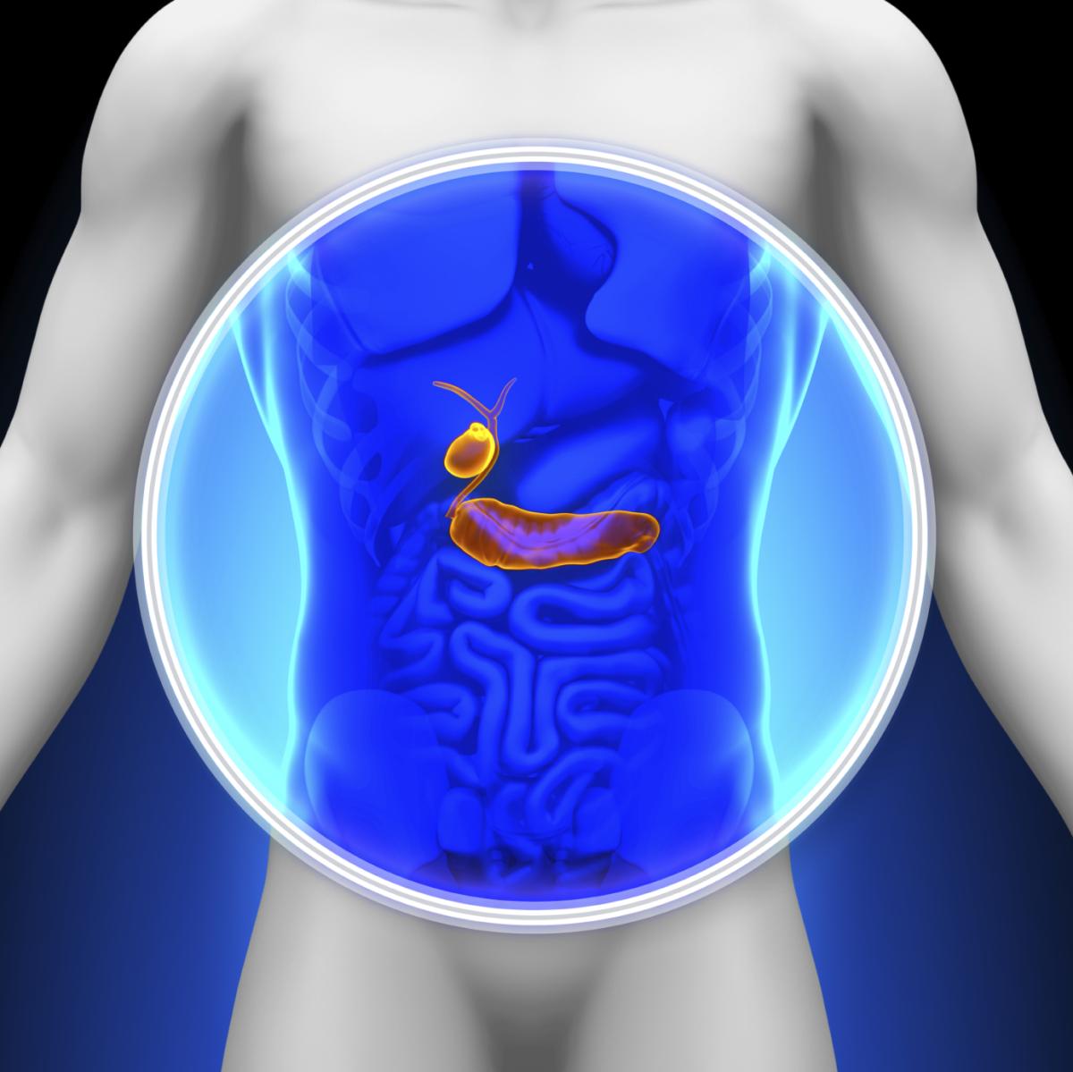 Dieta para la pancreatitis