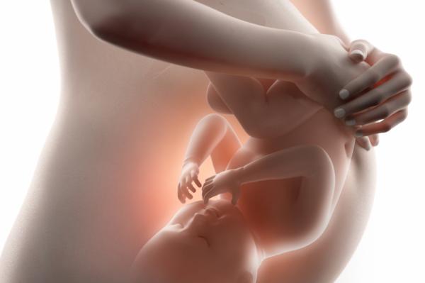 Problemas de corazón más comunes en jóvenes - Cardiopatías congénitas