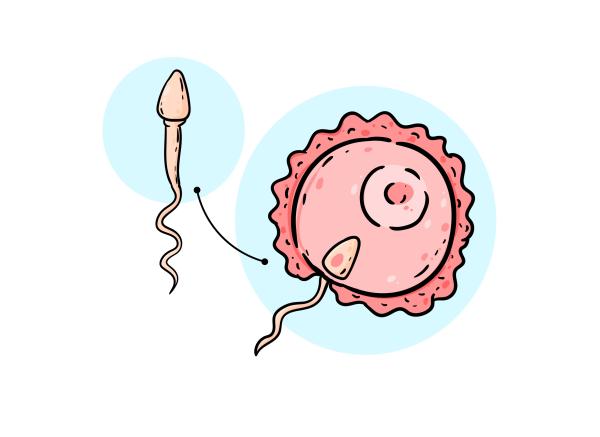 ¿Si se sale el esperma puedo quedar embarazada?