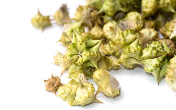 Tribulus Terrestris: para qué sirve, propiedades, cómo tomarlo y efectos secundarios - Para qué sirve el Tribulus Terrestris