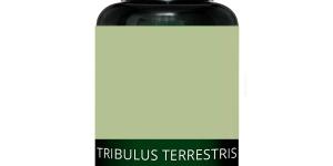 Tribulus Terrestris: para qué sirve, propiedades, cómo tomarlo y efectos secundarios