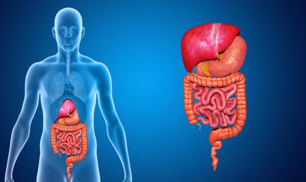 Dieta para la enfermedad de Crohn