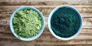 Té de fucus para adelgazar y cómo prepararlo