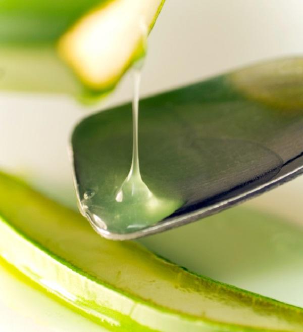 Beneficios del aloe vera