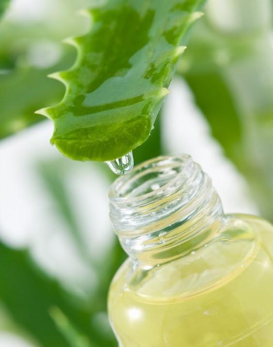 Beneficios del aloe vera - Las claves para utilizar el aloe vera