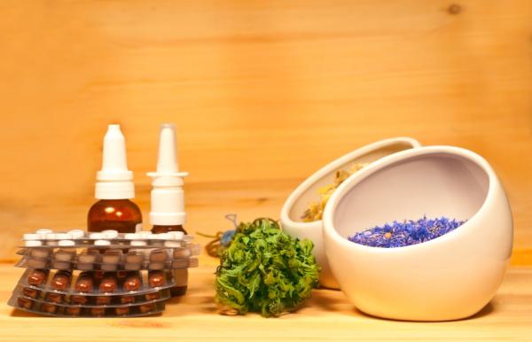 Boldo: propiedades y usos medicinales - Usos medicinales del boldo