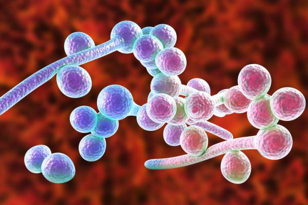 Clotrimazol crema: para qué sirve y cómo se aplica - Clotrimazol en crema: para qué sirve