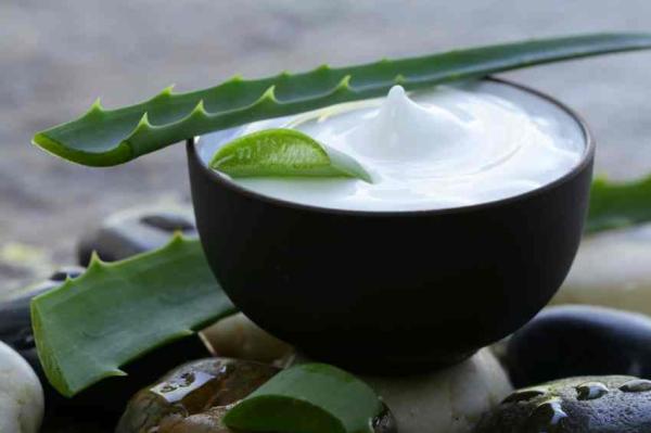 Remedios caseros para los granos - Aloe vera, excelente para prevenir las cicatrices del acné