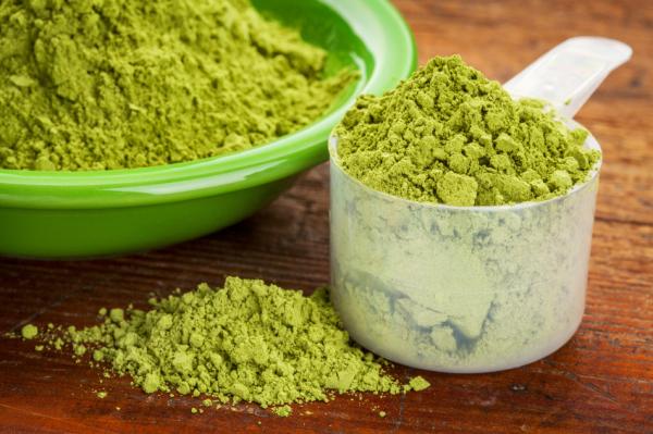Hierbas para una erección duradera - Moringa, beneficios para la disfunción eréctil
