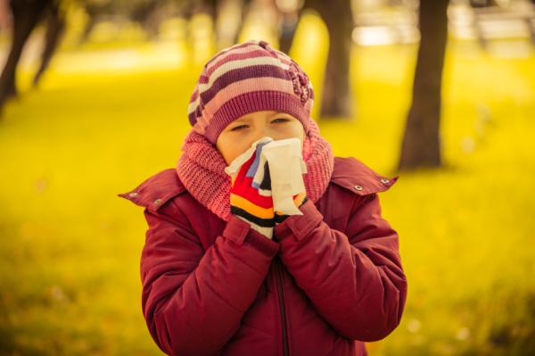 Cuánto dura la gripe - Cuánto dura la gripe