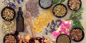 Plantas medicinales para la diabetes