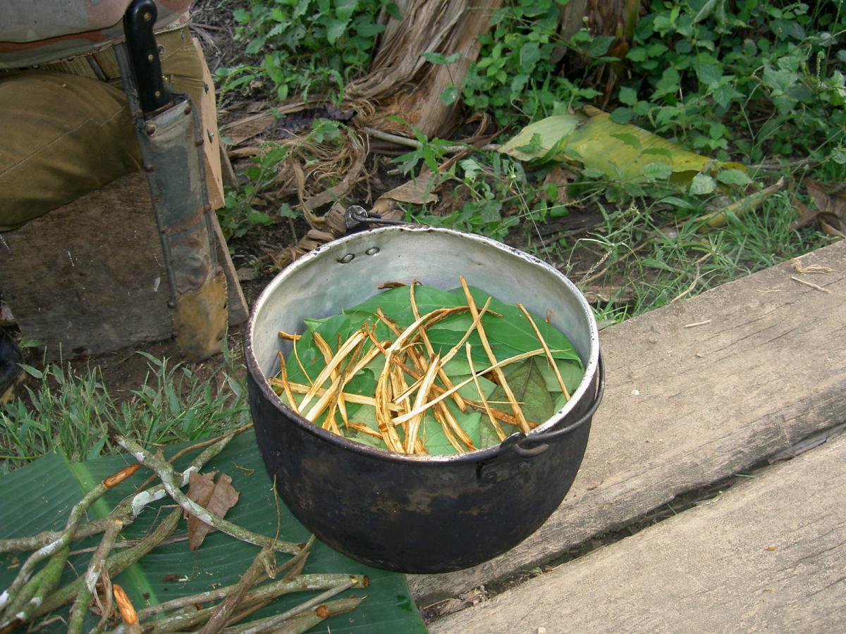 Ayahuasca: qué es, para qué sirve y efectos