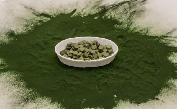 Propiedades curativas del alga chlorella - Propiedades curativas del alga chlorella