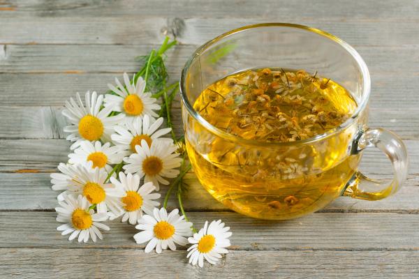 ¿Es bueno tomar manzanilla todos los días? - ¿Cómo tomar el té de manzanilla?