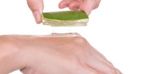 Usos medicinales del aloe vera