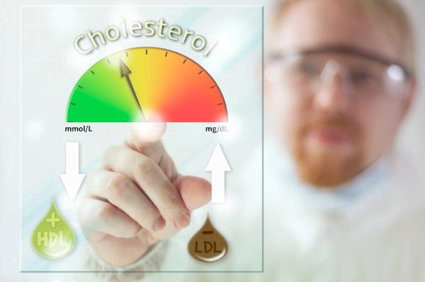 Alimentos que aumentan el colesterol bueno