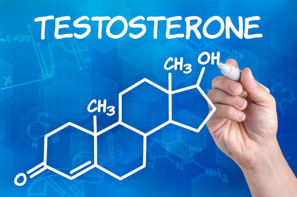 Cómo aumentar la testosterona de forma natural - ¿Qué es la testosterona?