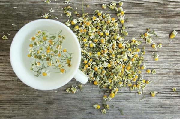 Infusiones para cortar la diarrea