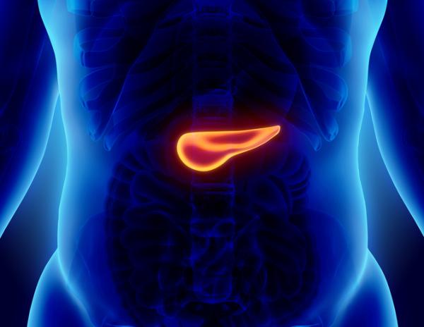Quistes en el páncreas: por qué salen, tratamiento y remedios caseros - Tipos de quistes en el páncreas