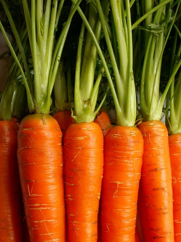 Remedios naturales para la sinusitis - Alimentación